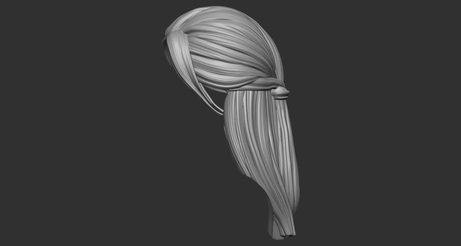 hair 5 3D print model_4