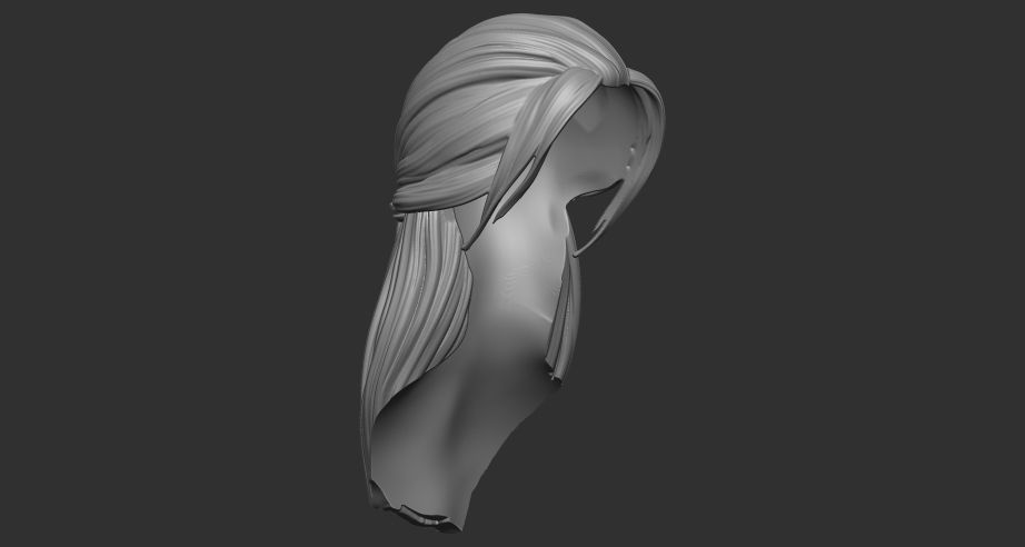 hair 5 3D print model_1