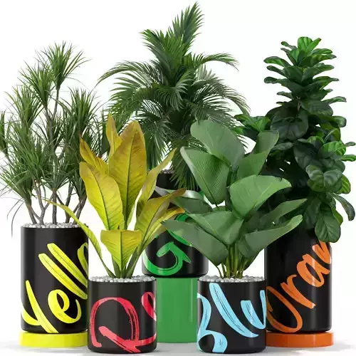 Plants collection 377