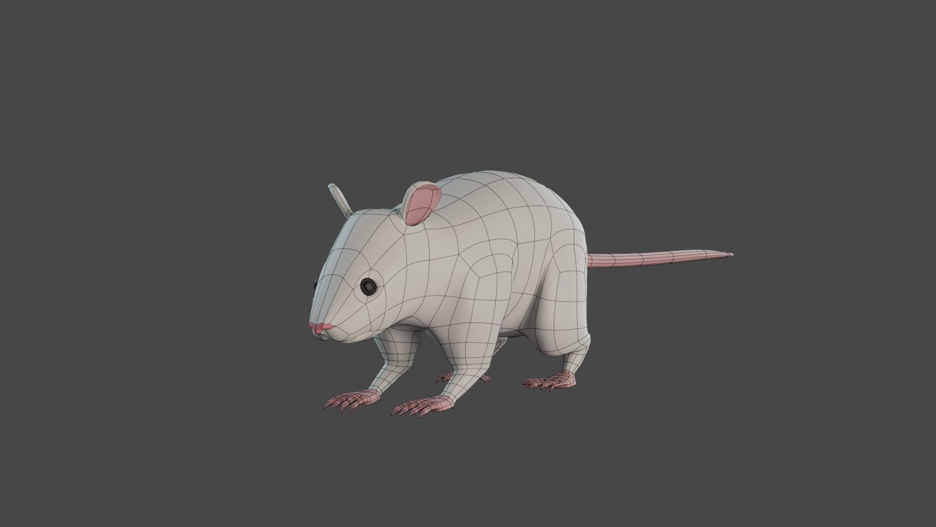 Rat 3d model 3D model_1