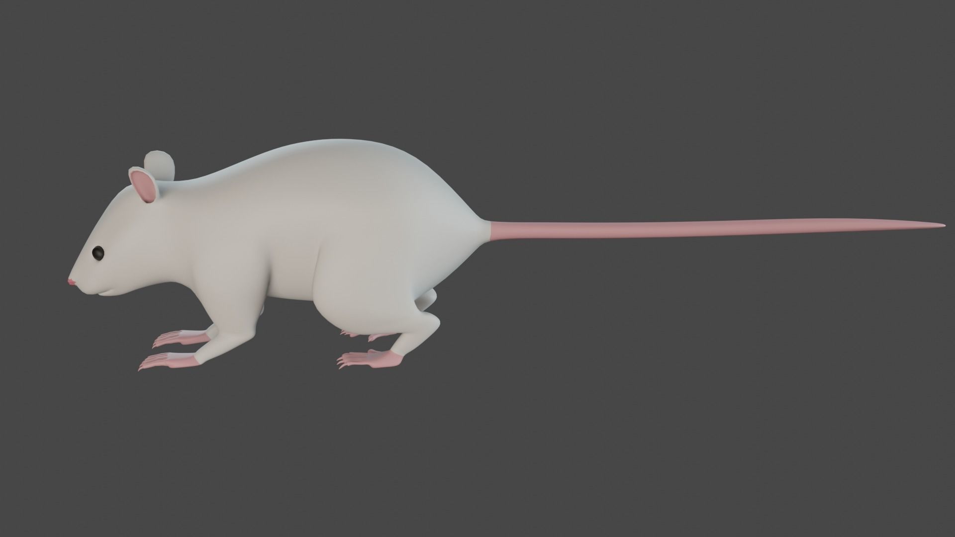 Rat 3d model 3D model_5