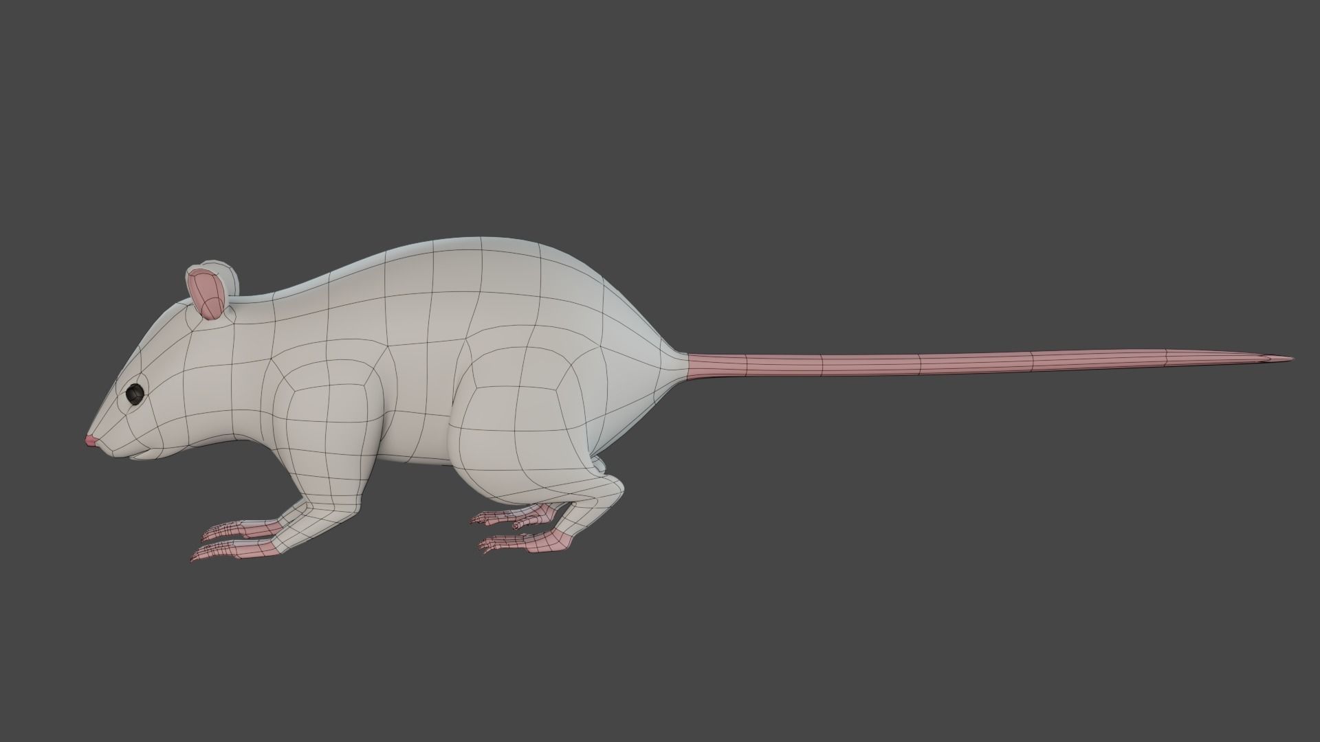 Rat 3d model 3D model_4