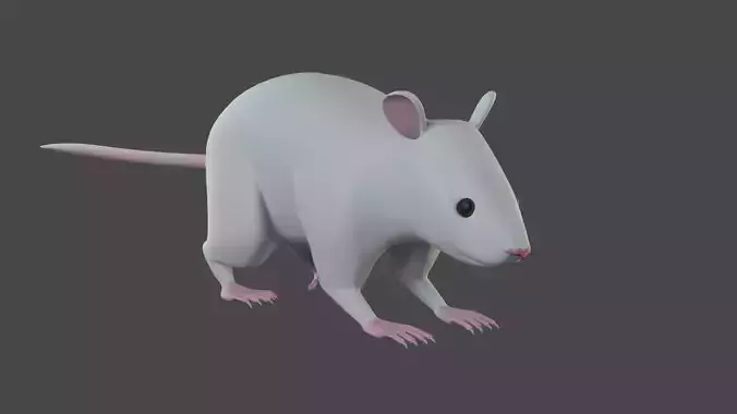 Rat 3d model 3D model