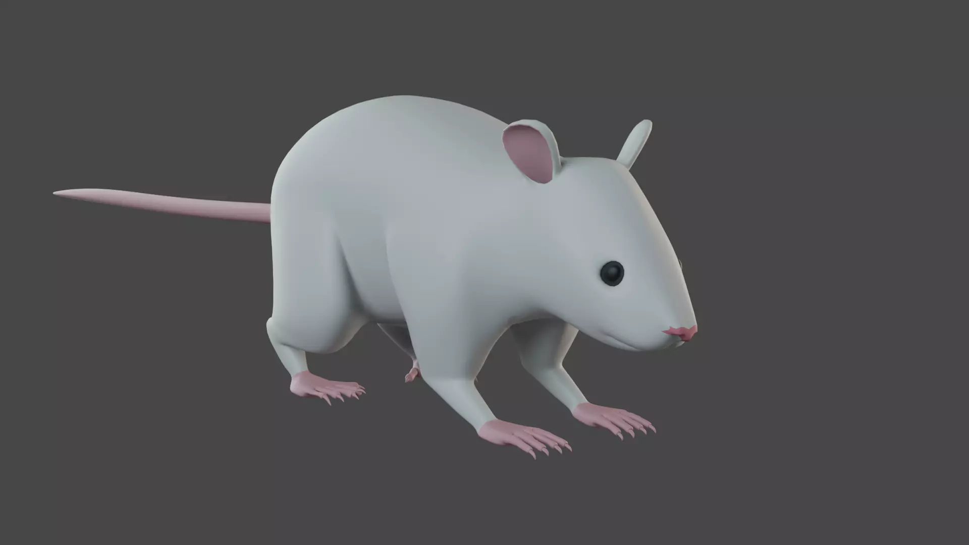 Rat 3d model 3D model_0