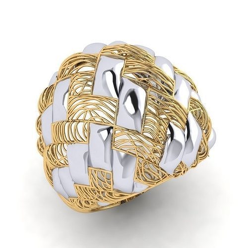 fizyon ring 14 3D print model