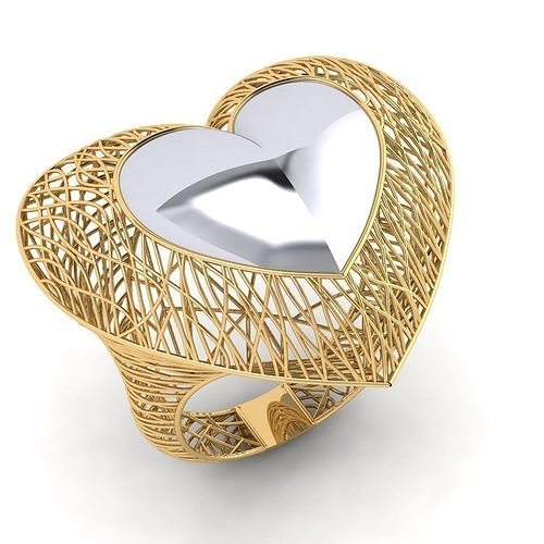 fizyon ring 15 3D print model