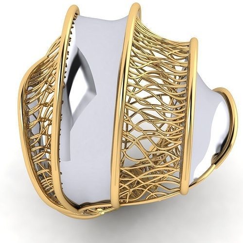 fizyon ring 17 3D print model