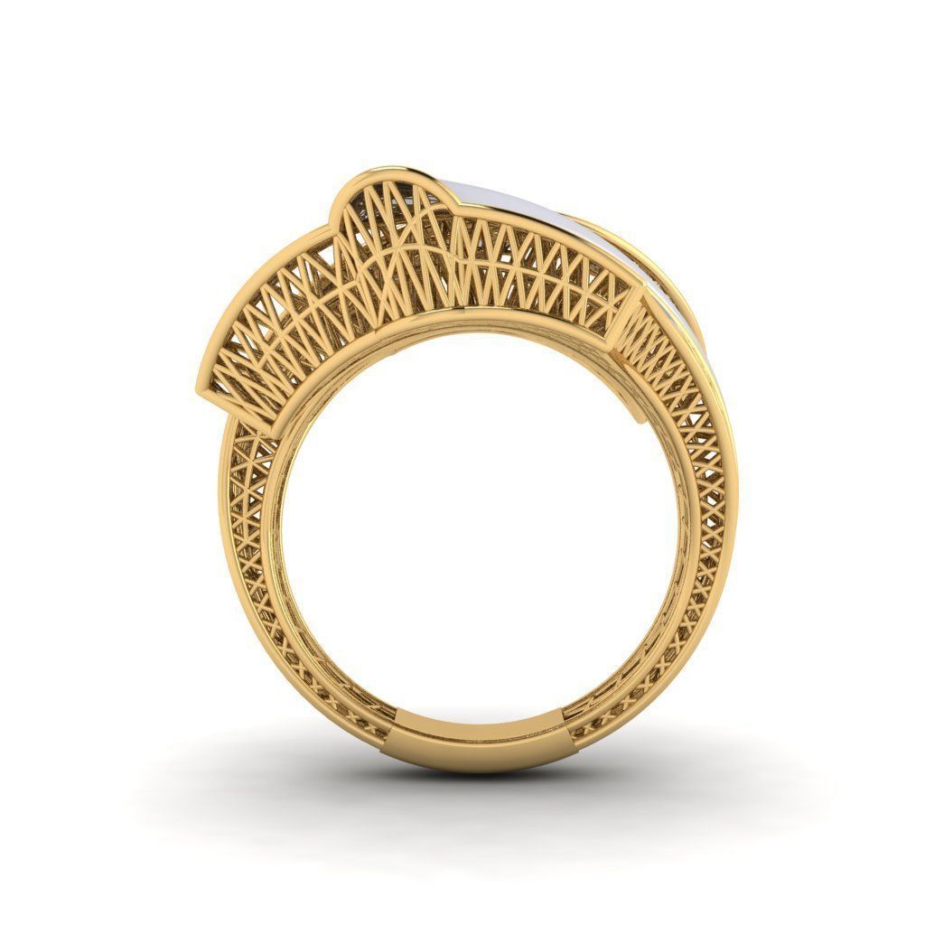 fizyon ring 20 3D print model_1