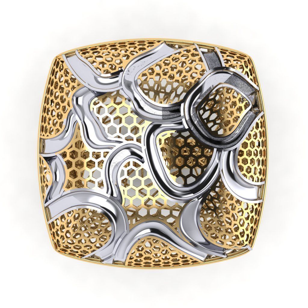 fizyon ring 21 3D print model_3