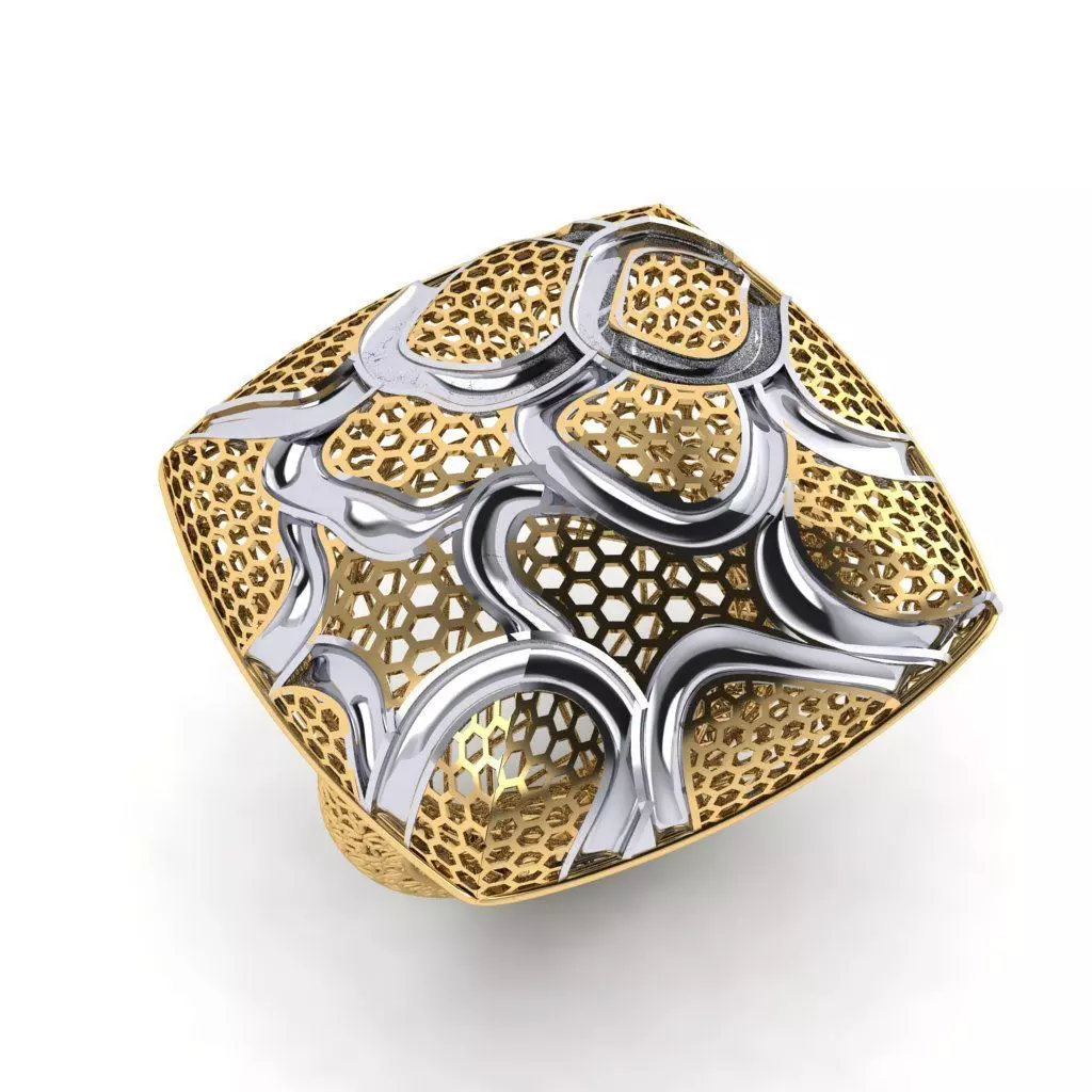 fizyon ring 21 3D print model_0