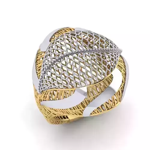 fizyon ring 22