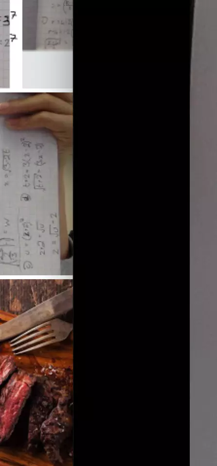 gggggggggg how to cook ribeye steak in japanese style 3D print model_0