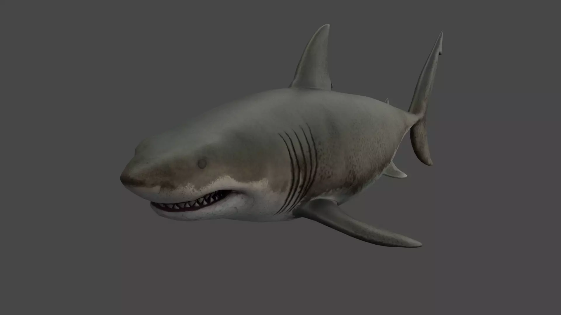 Great White Shark Low-poly 3D model