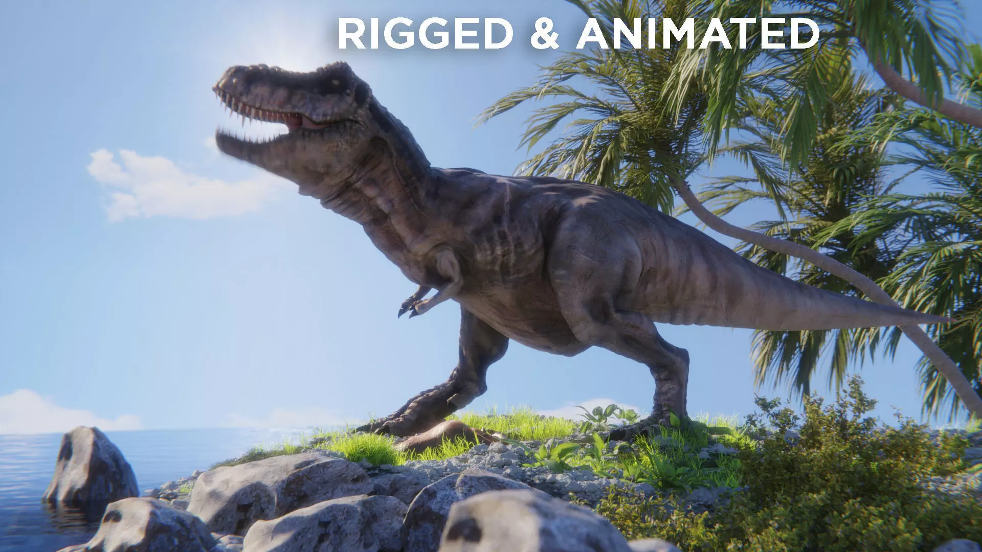 Tyrannosaurus Rex T rex Jurassic Park  3D model_0