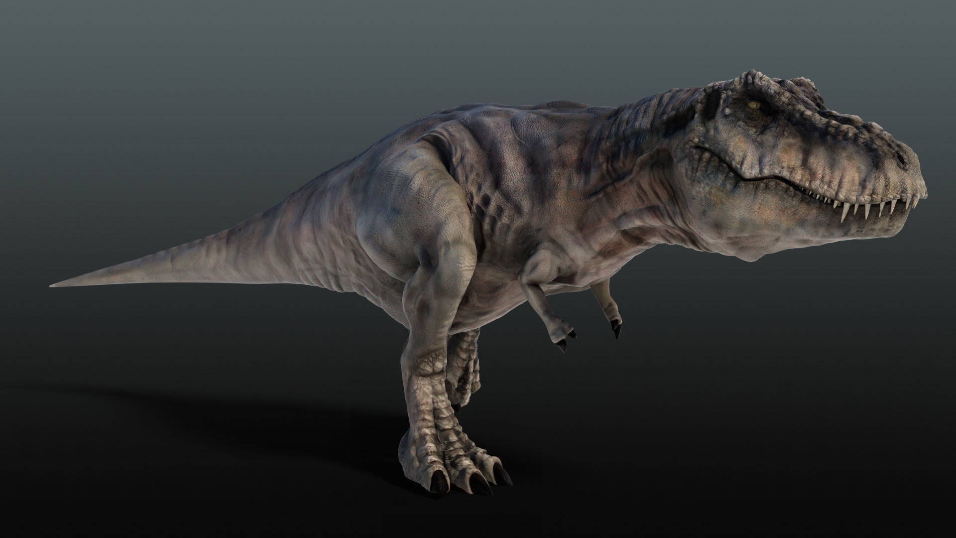 Tyrannosaurus Rex T rex Jurassic Park  3D model_10