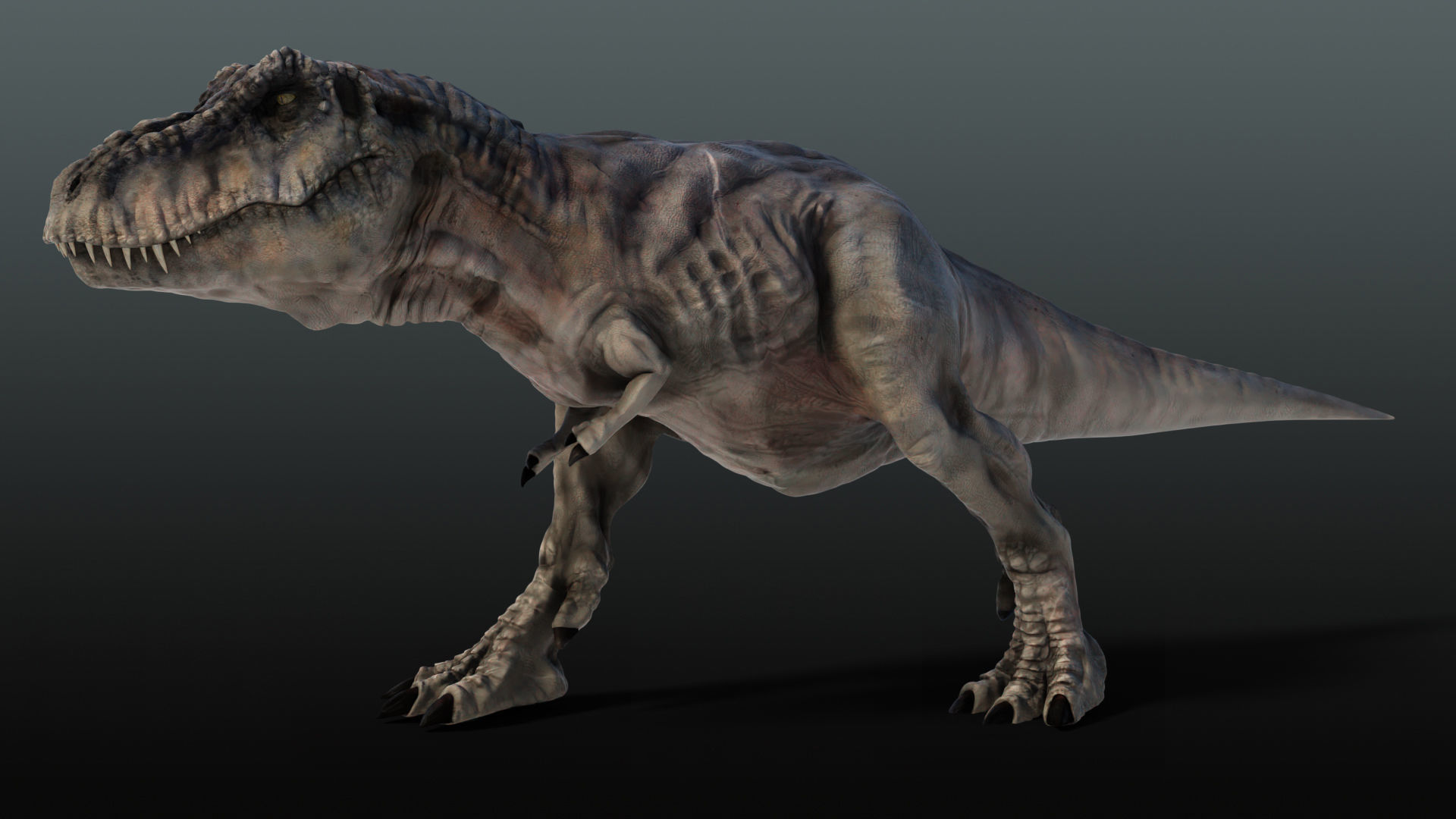 Tyrannosaurus Rex T rex Jurassic Park  3D model_9