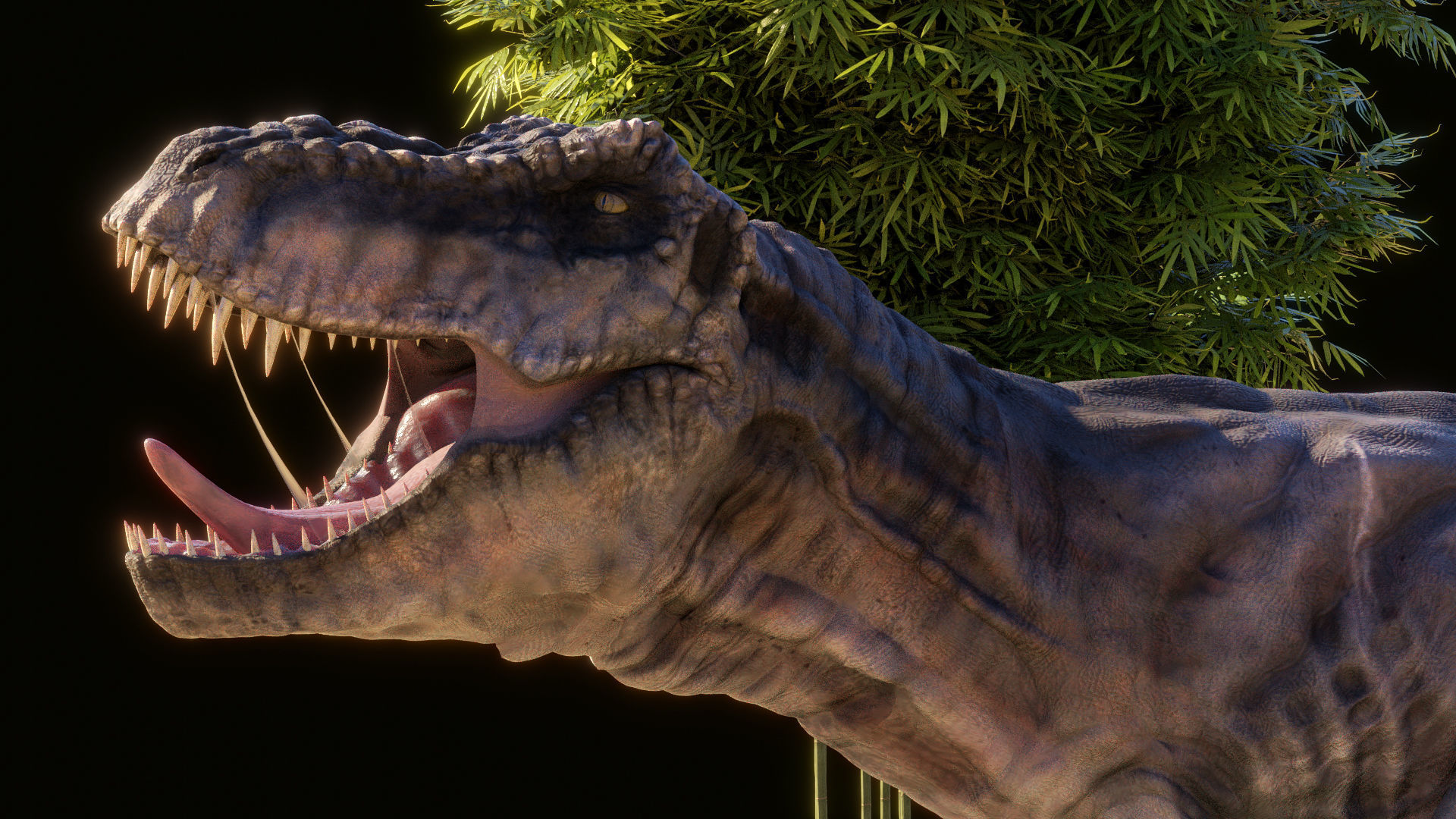 Tyrannosaurus Rex T rex Jurassic Park  3D model_4