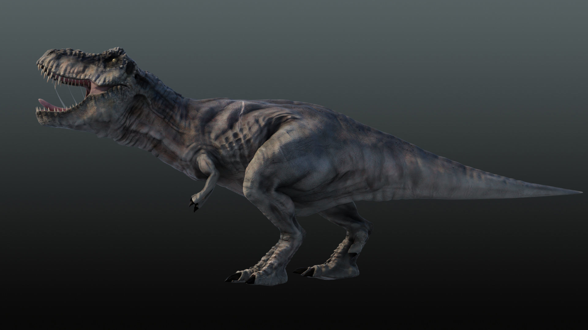 Tyrannosaurus Rex T rex Jurassic Park  3D model_8