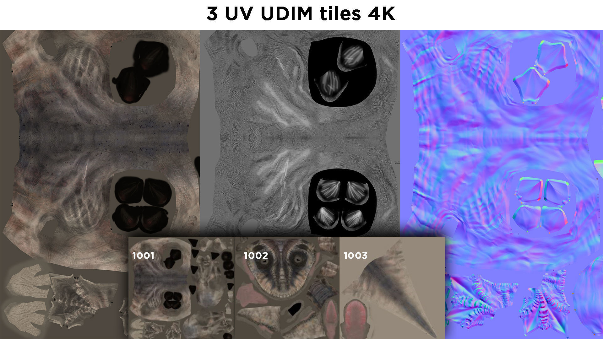 Tyrannosaurus Rex T rex Jurassic Park  3D model_12