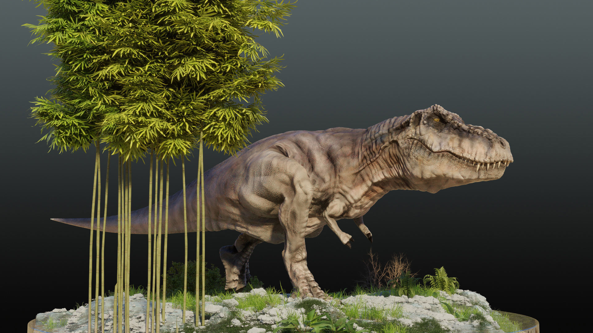 Tyrannosaurus Rex T rex Jurassic Park  3D model_5