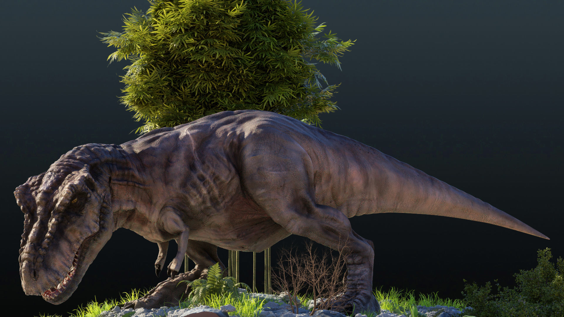 Tyrannosaurus Rex T rex Jurassic Park  3D model_11