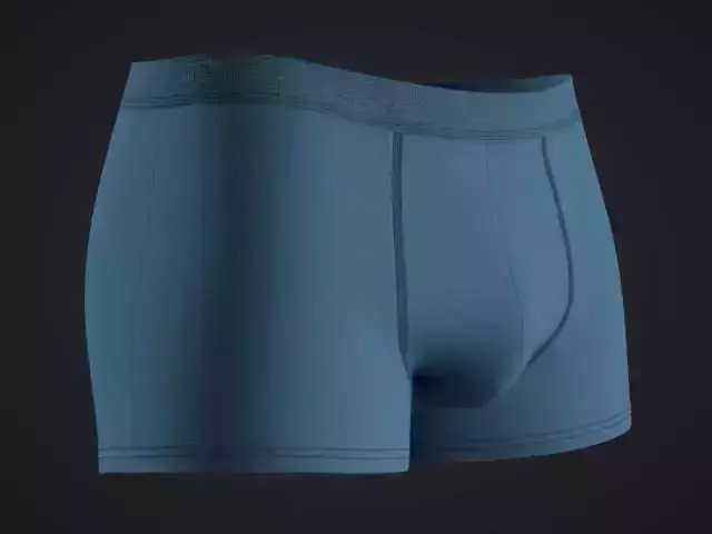 Underwear boxer briefs 3D model