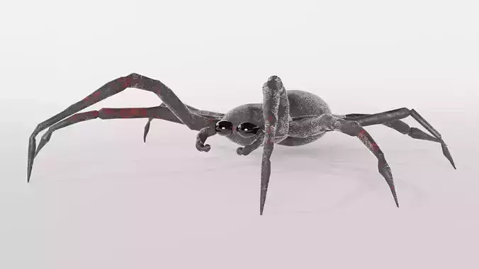 Spider Free low-poly 3D model