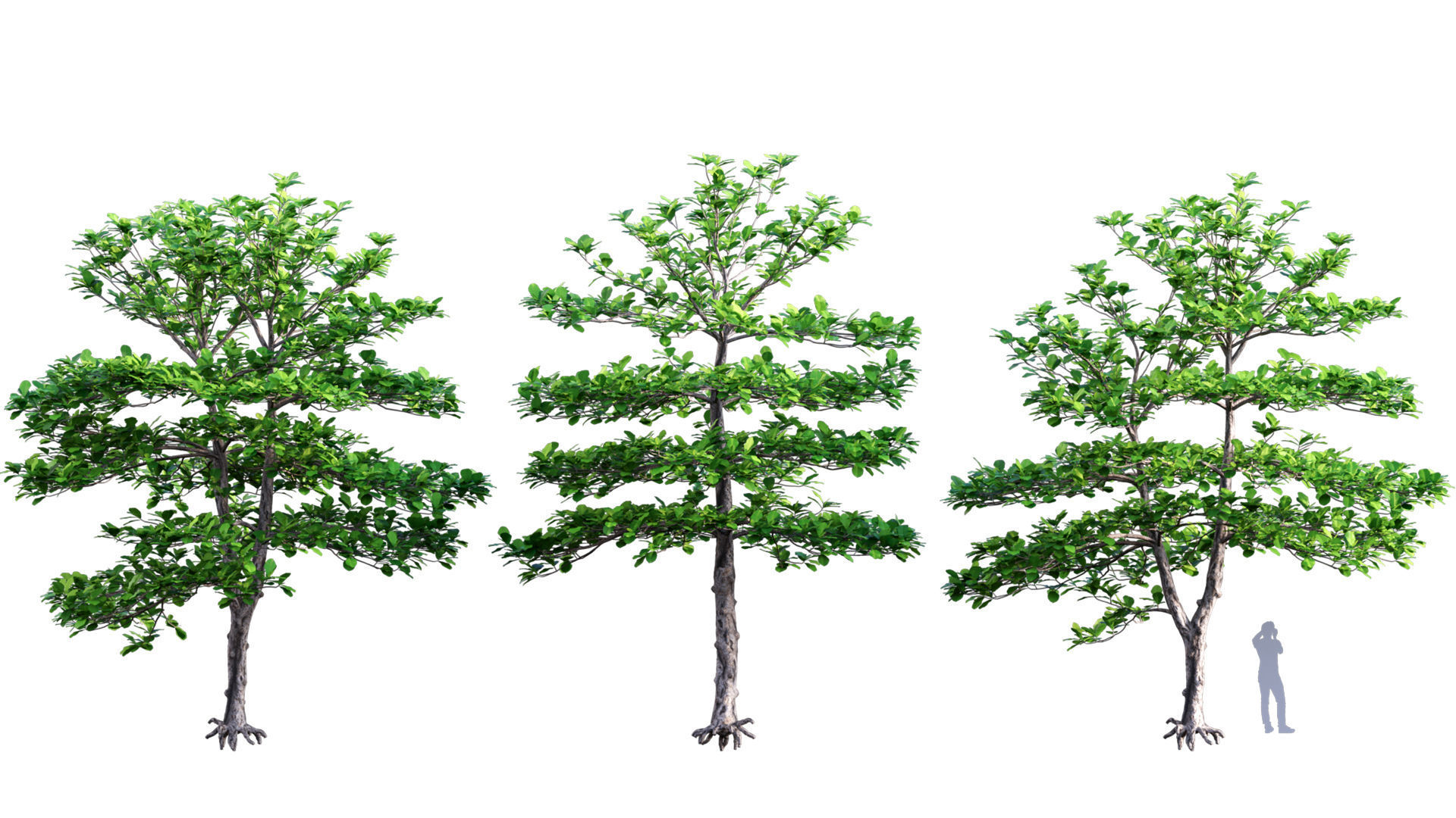3DTree Bundle 03 - Park City 3D model_10