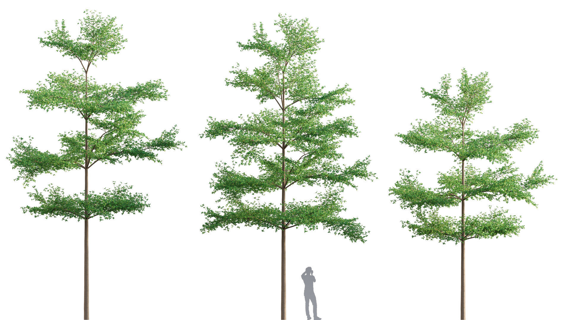 3DTree Bundle 03 - Park City 3D model_11