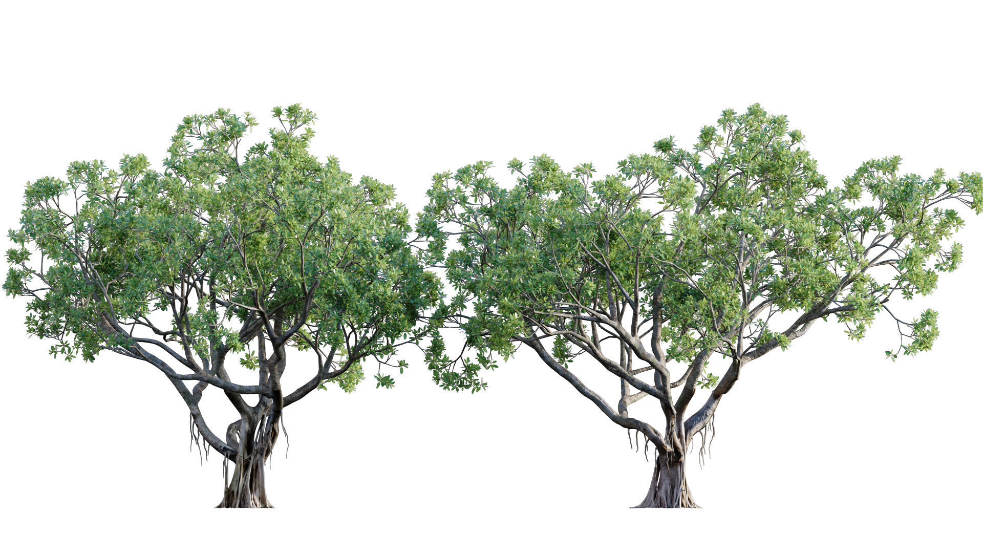 3DTree Bundle 03 - Park City 3D model_6