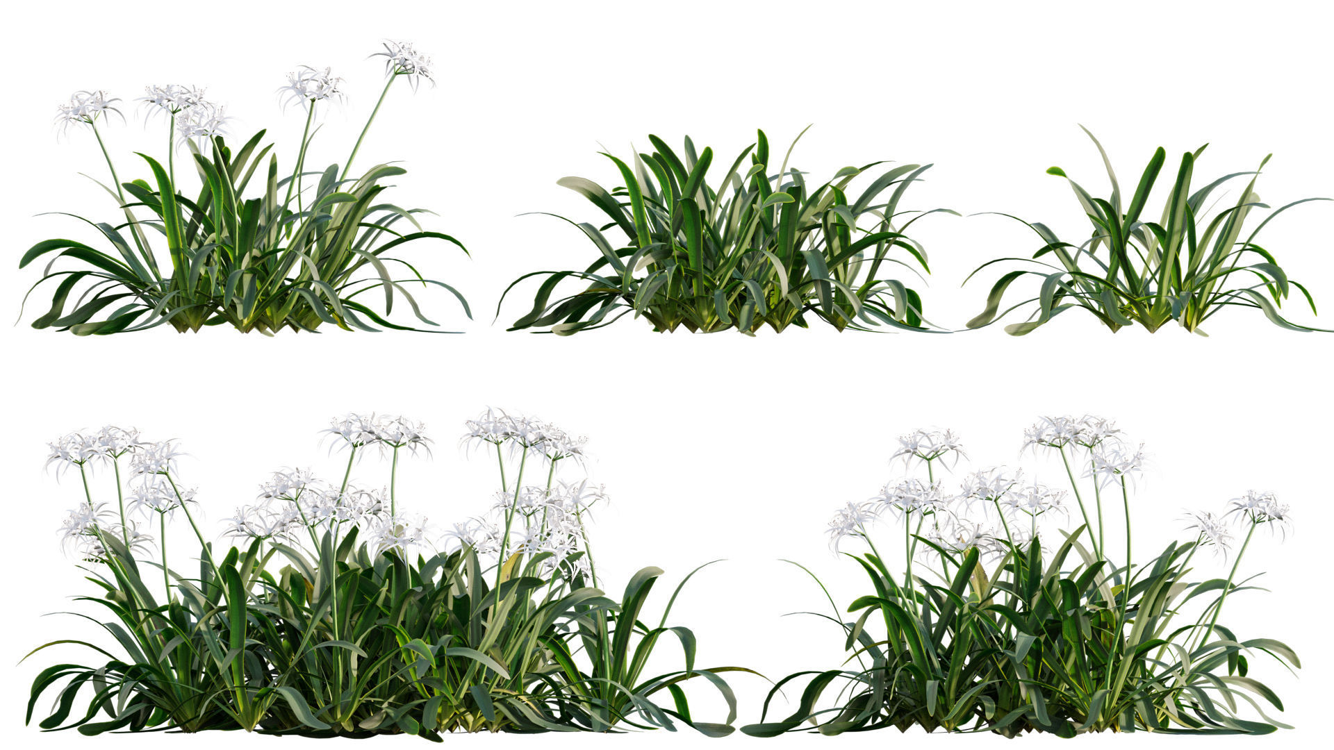 3DTree Bundle 04 - Resort plants 3D model_11