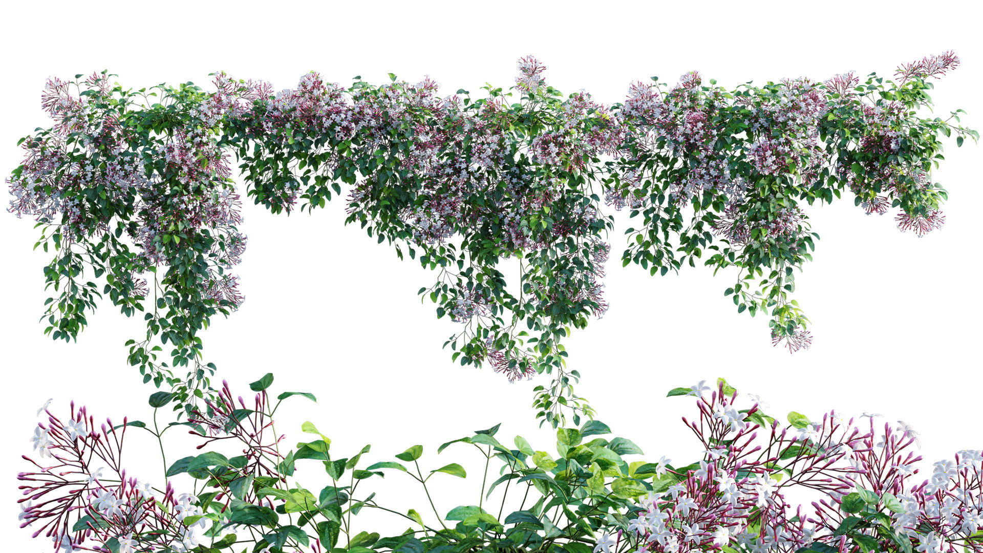 3DTree Bundle 04 - Resort plants 3D model_8