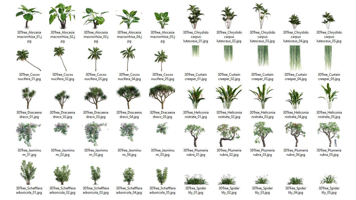3DTree Bundle 04 - Resort plants 3D model_12