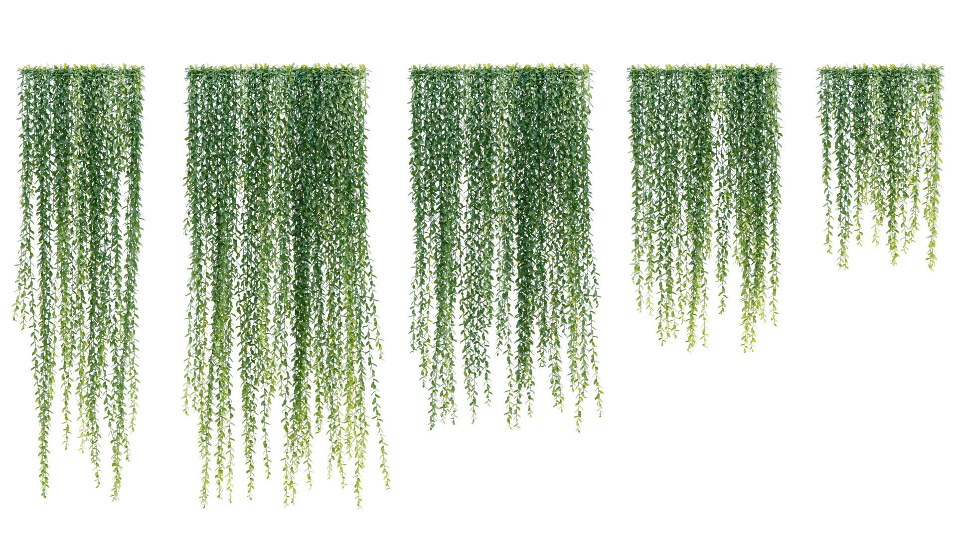 3DTree Bundle 04 - Resort plants 3D model_5