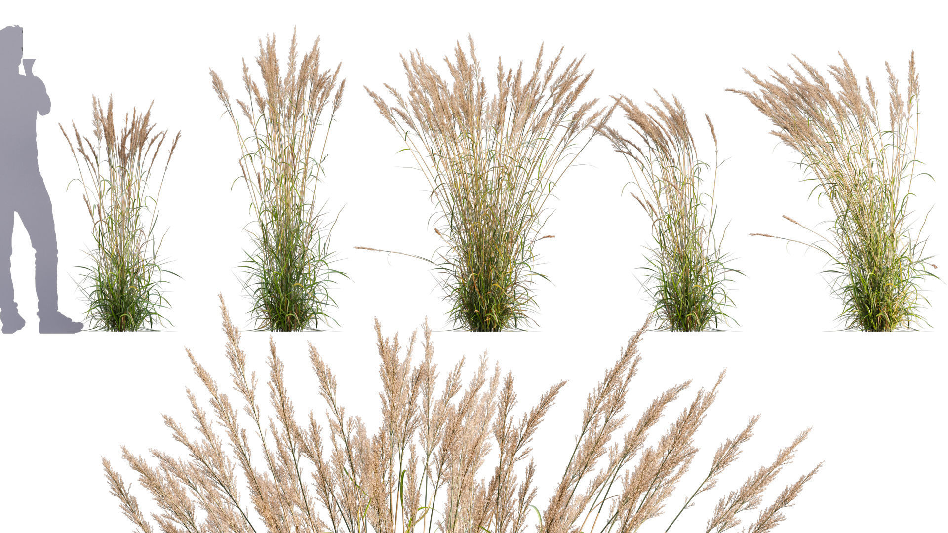 3DTree Bundle 05 - Flower Garden 3D model_3