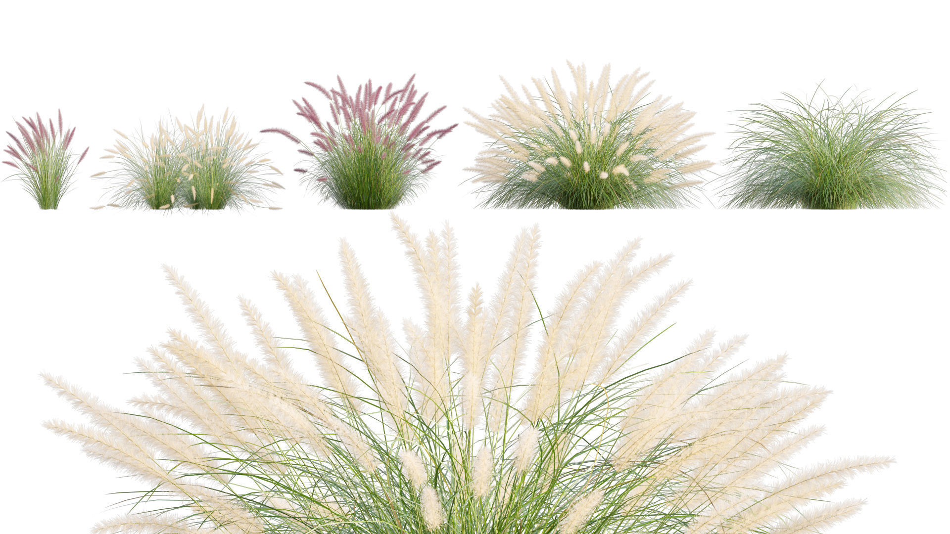 3DTree Bundle 05 - Flower Garden 3D model_7