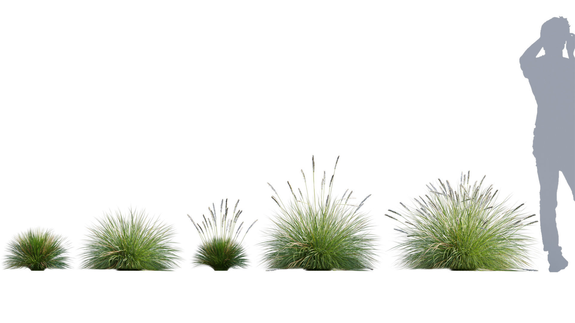 3DTree Bundle 05 - Flower Garden 3D model_10