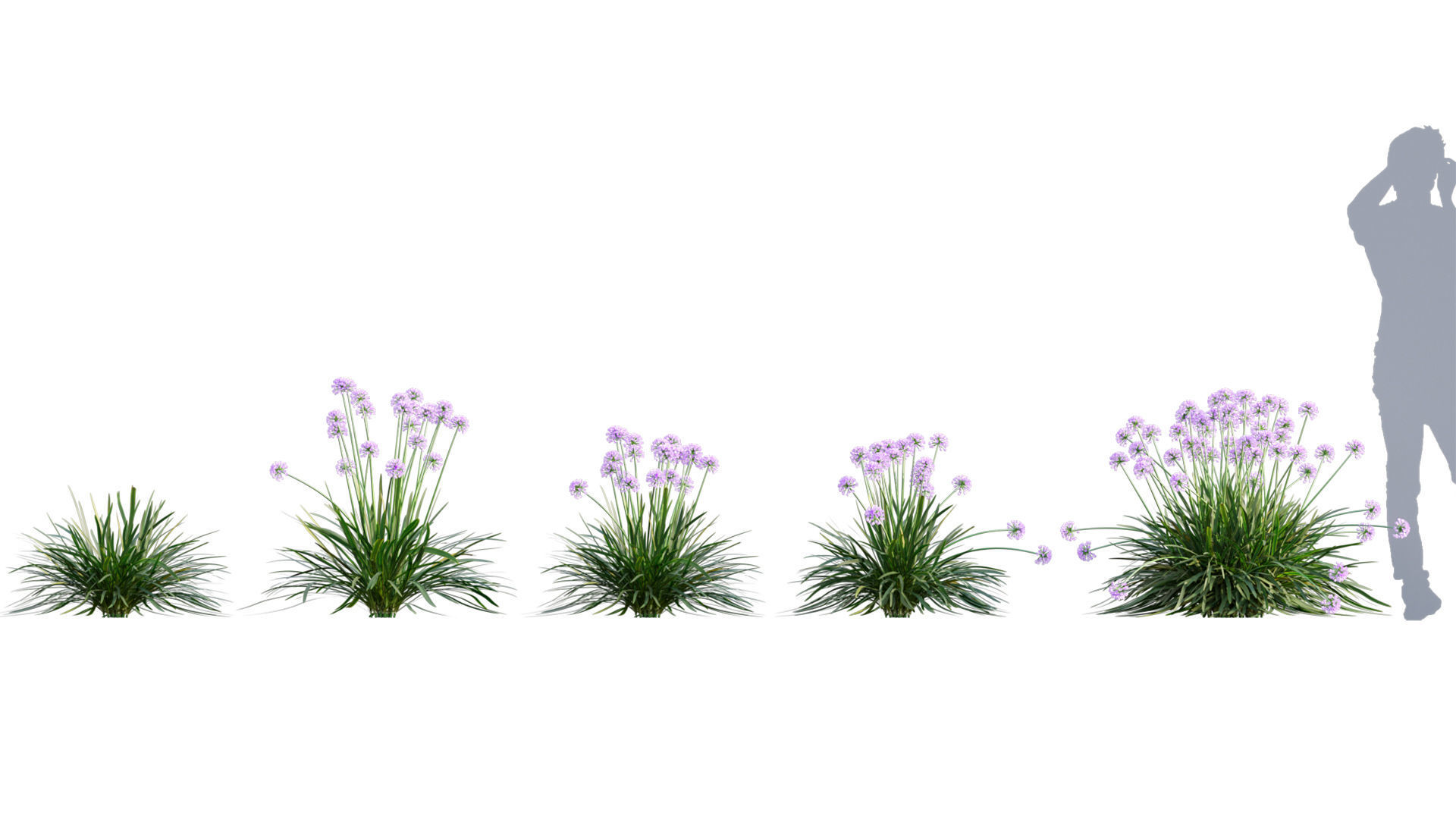3DTree Bundle 05 - Flower Garden 3D model_1