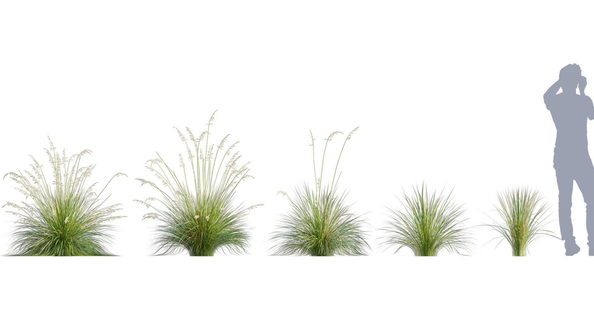 3DTree Bundle 05 - Flower Garden 3D model_9