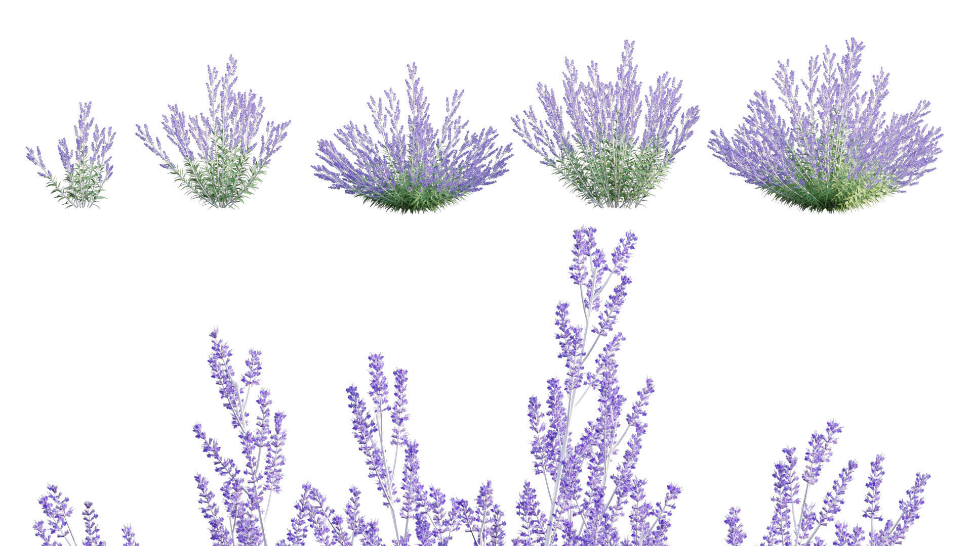 3DTree Bundle 05 - Flower Garden 3D model_8