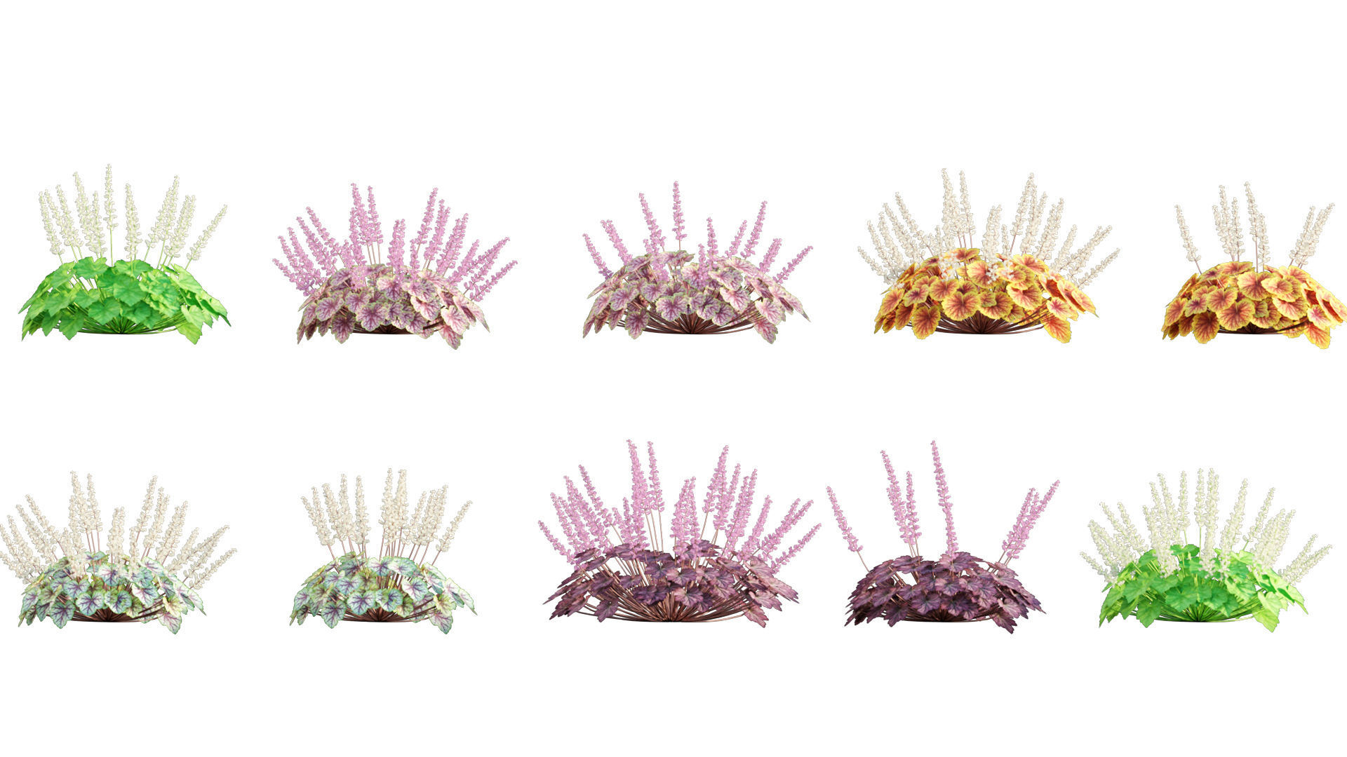 3DTree Bundle 05 - Flower Garden 3D model_5