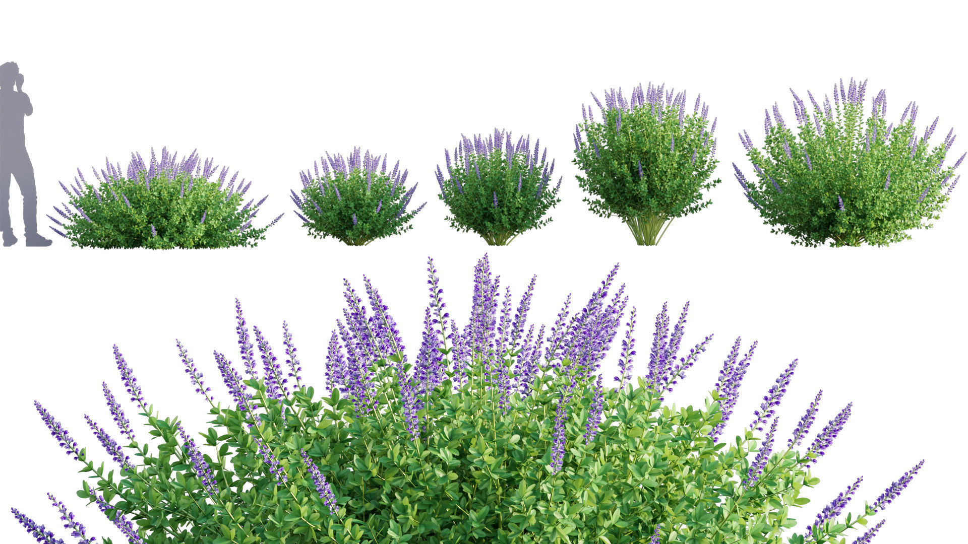 3DTree Bundle 05 - Flower Garden 3D model_2