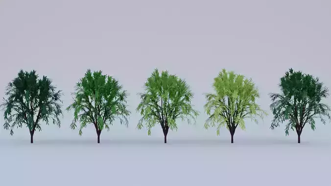 Low Poly Tree Asset