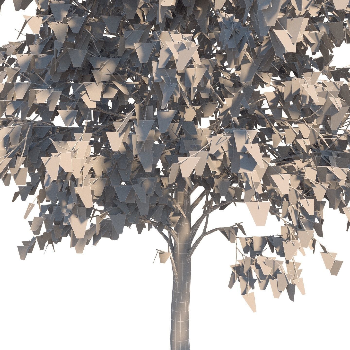  Five white birches 6-8 meters 3D model_8