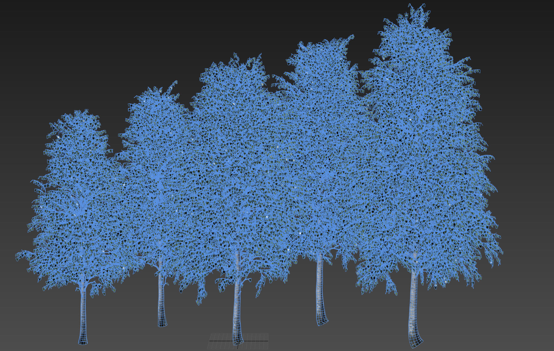  Five white birches 6-8 meters 3D model_15