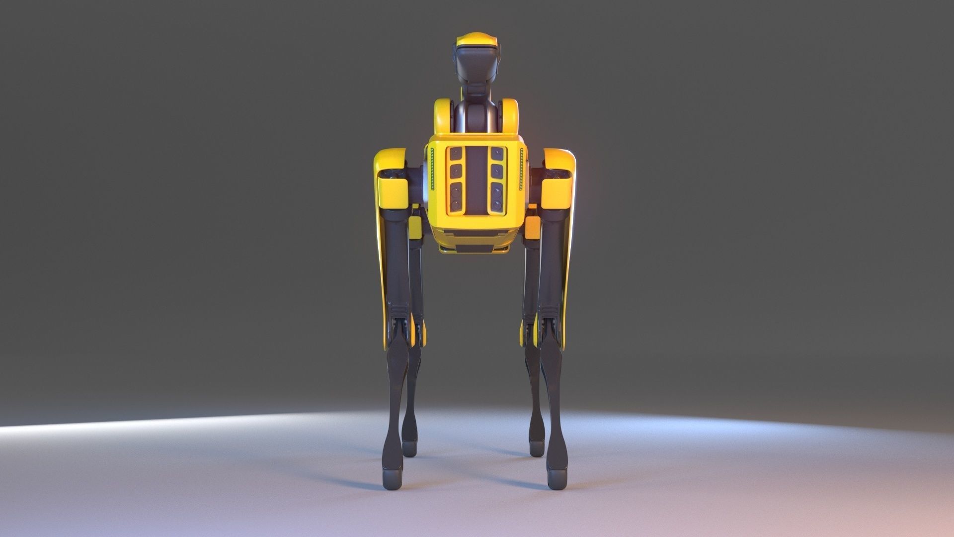 Spot Robot With Arm 3D model_3