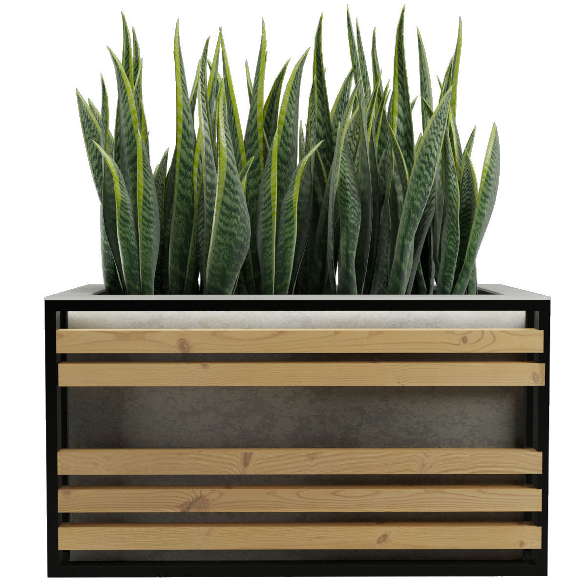 Sansevieria planter box with succulents 3D model_2