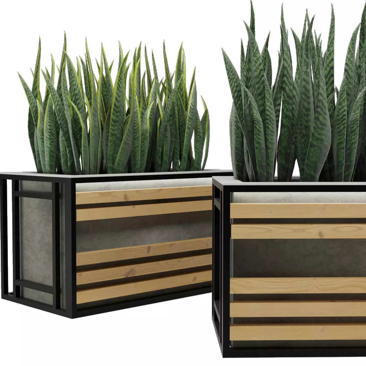 Sansevieria planter box with succulents 3D model_0