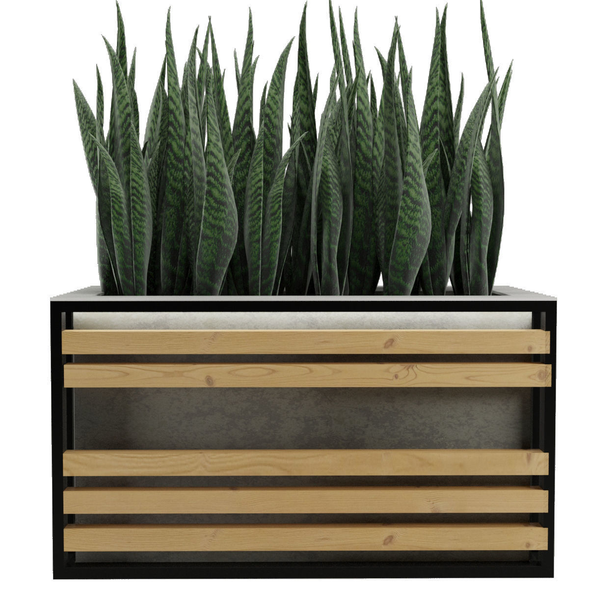 Sansevieria planter box with succulents 3D model_1