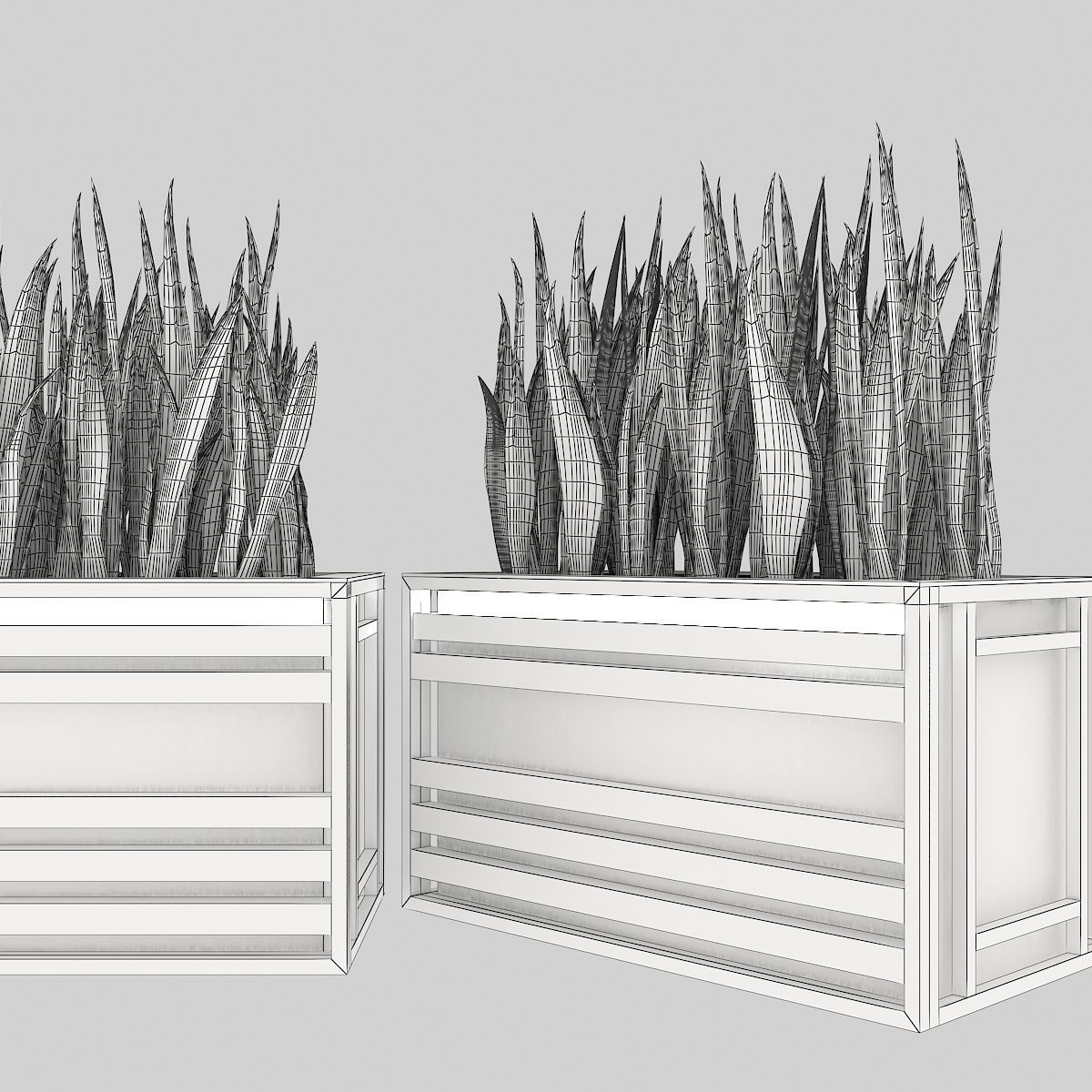 Sansevieria planter box with succulents 3D model_3